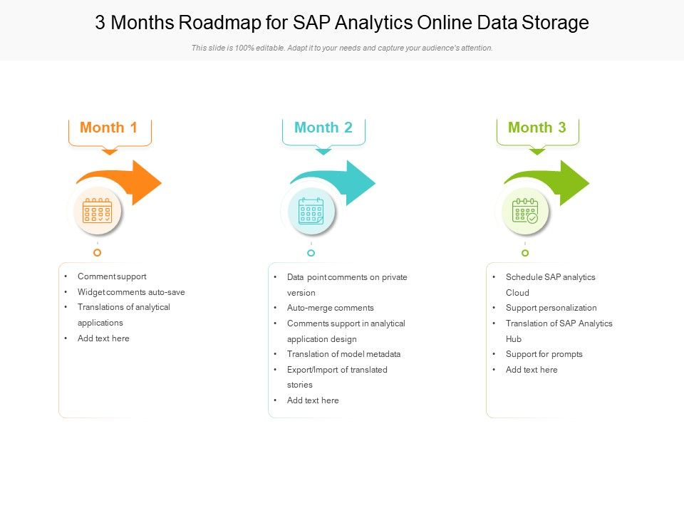 3 Months Roadmap For SAP Analytics Online Data Storage Guidelines
