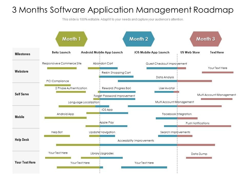 3 Months Software Application Management Roadmap Slides