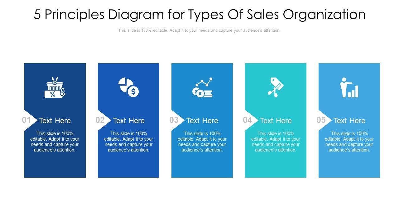 5 Principles Diagram For Types Of Sales Organization Ppt PowerPoint