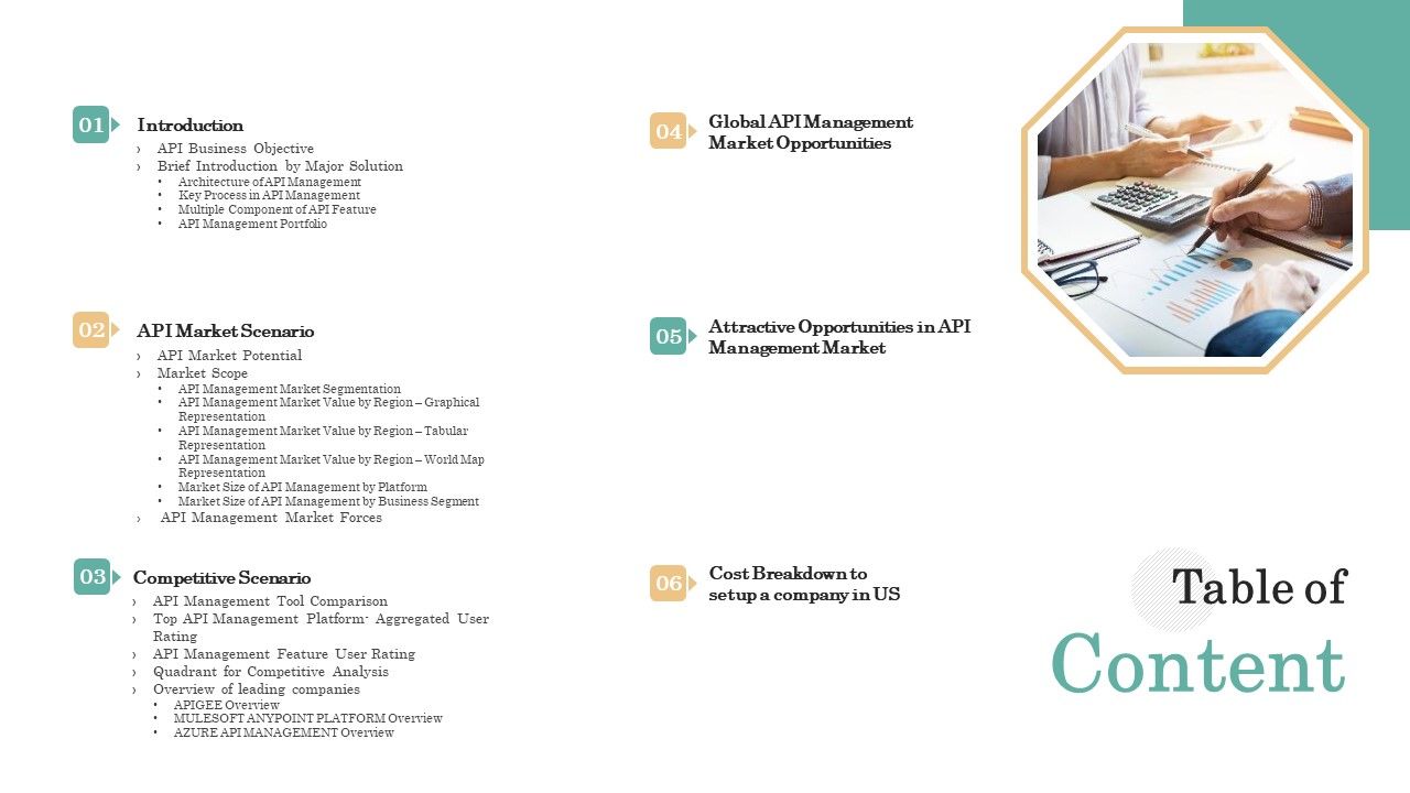 API_Management_Market_Table_Of_Content_Icons_PDF_Slide_1.jpg