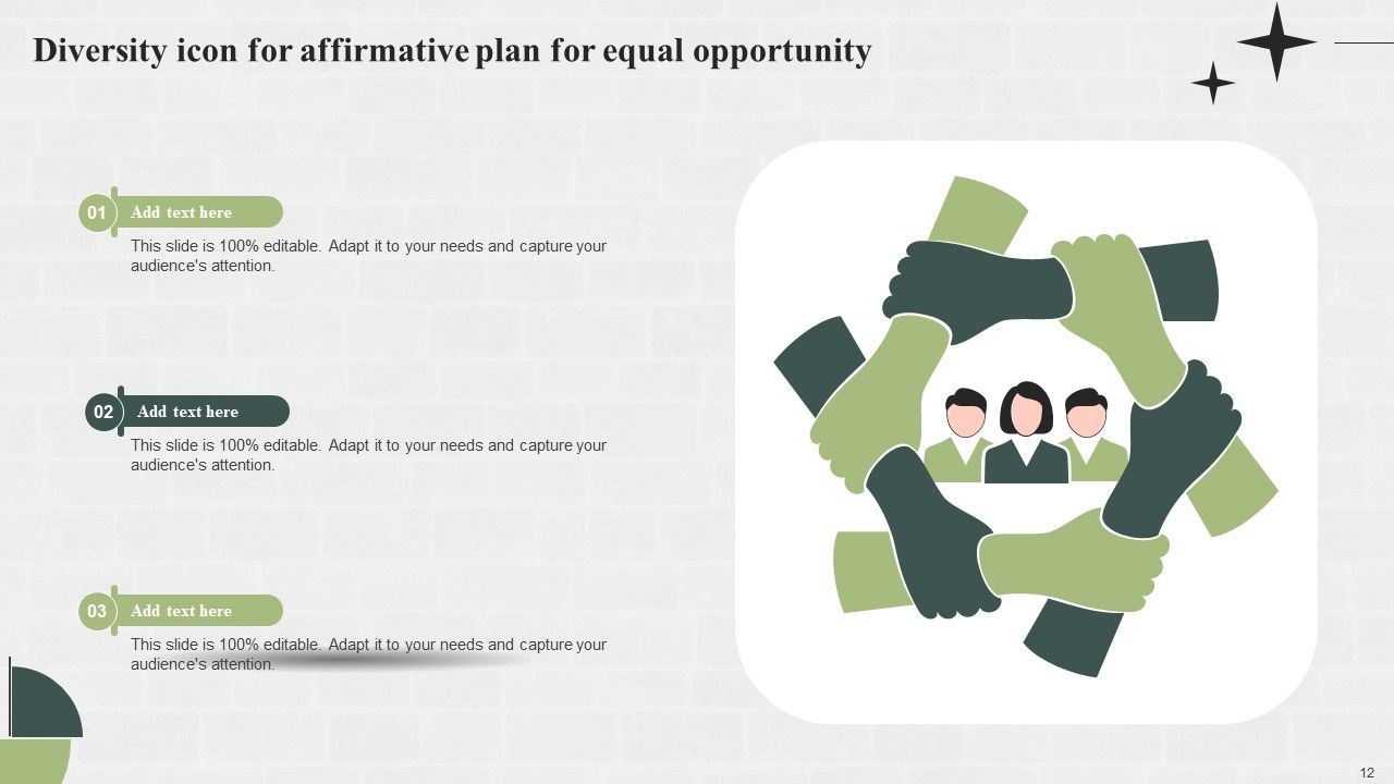 Affirmative Plan For Equal Opportunity Ppt PowerPoint Presentation Complete Deck With Slides Slide12