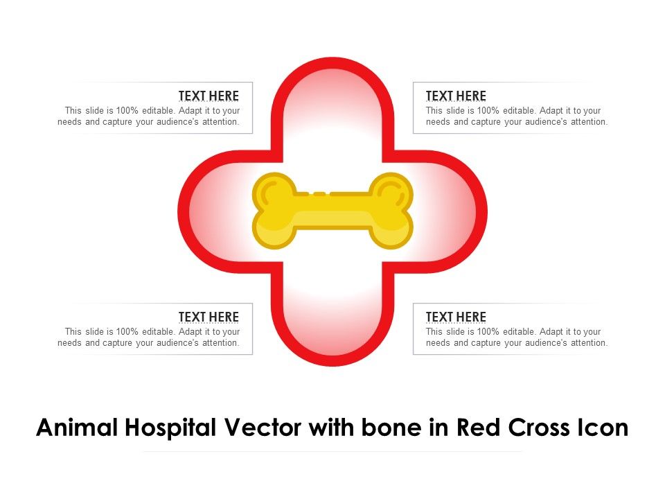 Animal_Hospital_Vector_With_Bone_In_Red_Cross_Icon_Ppt_PowerPoint_Presentation_Gallery_Template_PDF_Slide_1.jpg