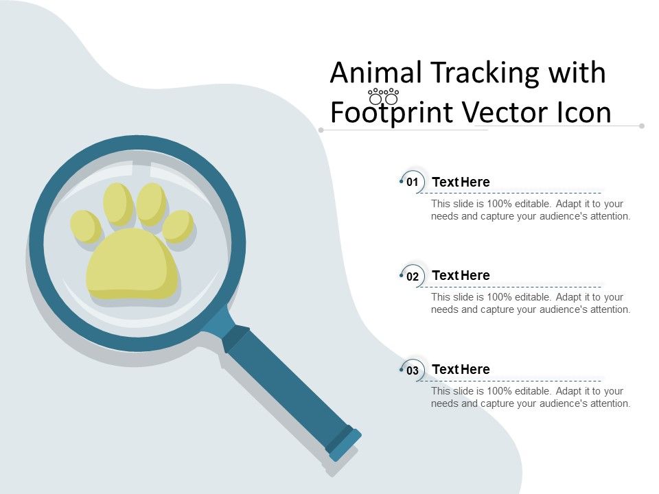 Animal_Tracking_With_Footprint_Vector_Icon_Ppt_PowerPoint_Presentation_Outline_Templates_PDF_Slide_1.jpg