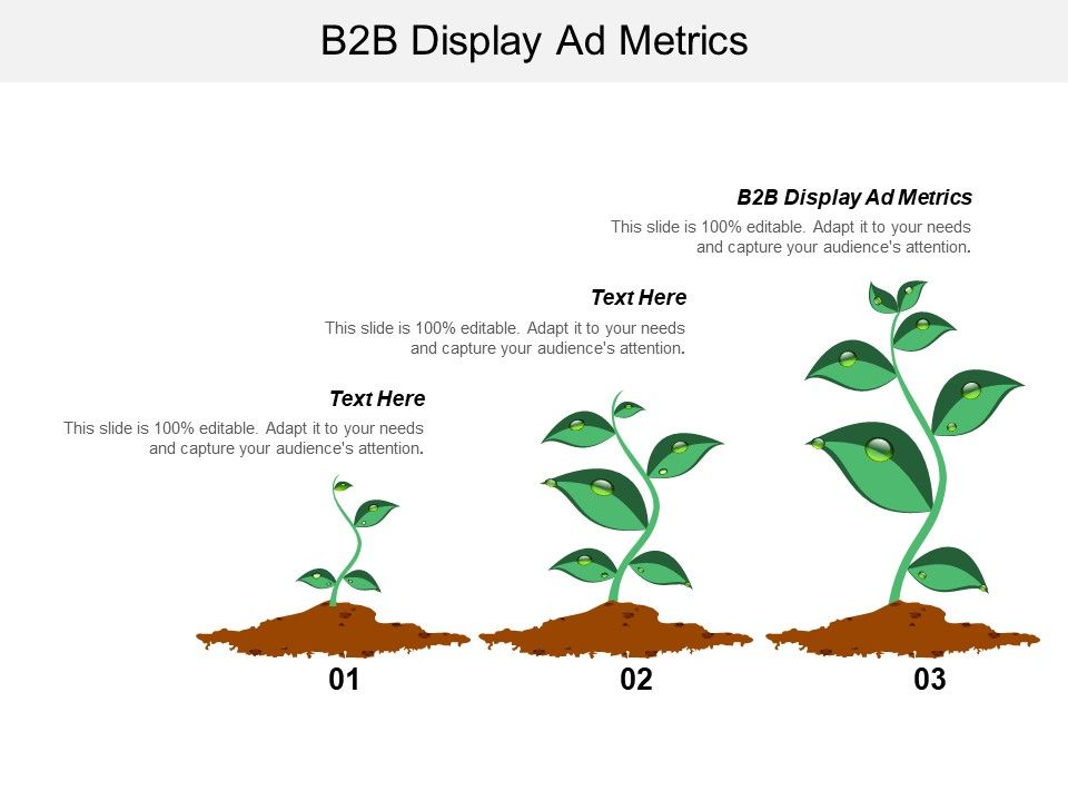 B2B_Display_Ad_Metrics_Ppt_PowerPoint_Presentation_Icon_Information_Cpb_Slide_1.jpg
