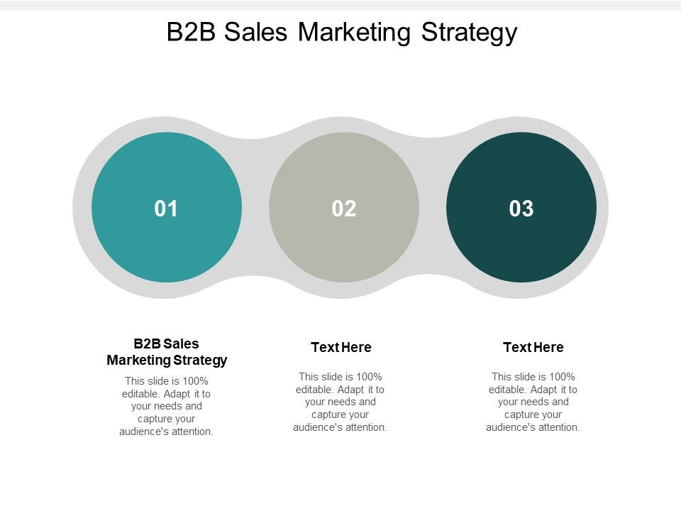 B2b Sales Marketing Strategy Ppt Powerpoint Presentation Infographics B2b Sales Marketing Strategy Ppt Powerpoint Presentation Infographics
