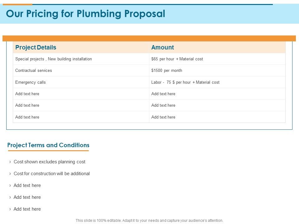 Bathroom_Fixture_Our_Pricing_For_Plumbing_Proposal_Ppt_PowerPoint_Presentation_Icon_Grid_PDF_Slide_1.jpg