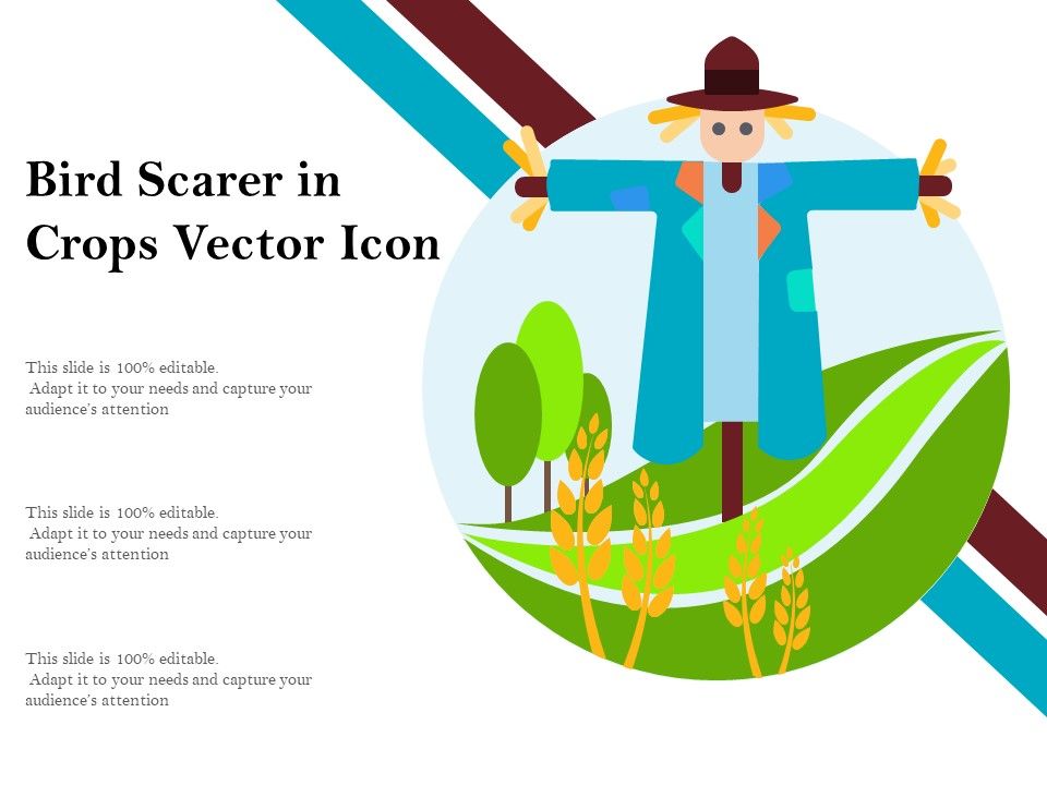 Bird_Scarer_In_Crops_Vector_Icon_Ppt_PowerPoint_Presentation_Outline_Slides_PDF_Slide_1.jpg