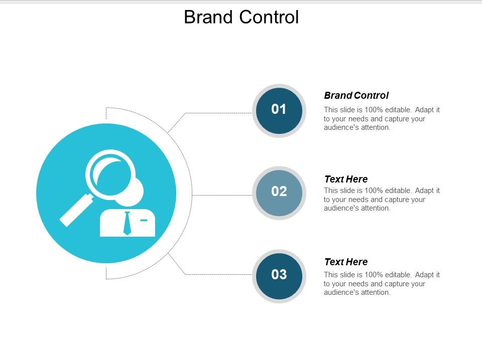 Brand Control Ppt PowerPoint Presentation Pictures File Formats Cpb