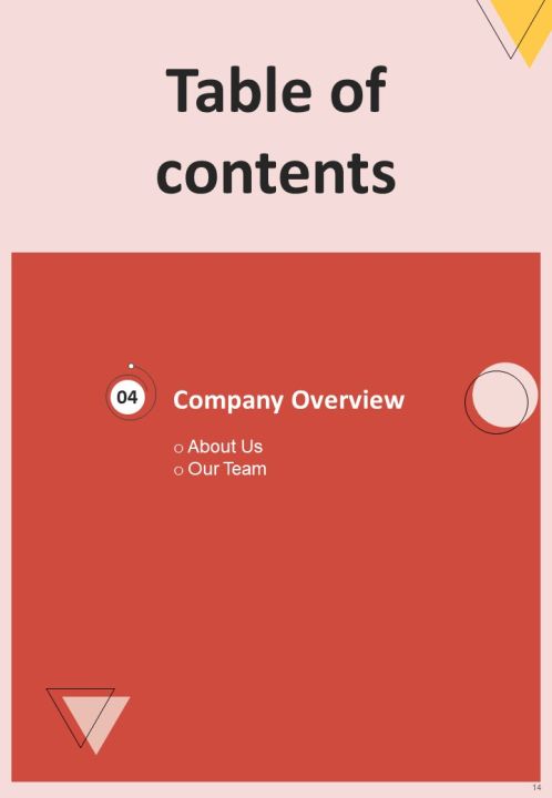 Brand Endorsement Services Proposal Example Document Report Doc Pdf Ppt Slide14