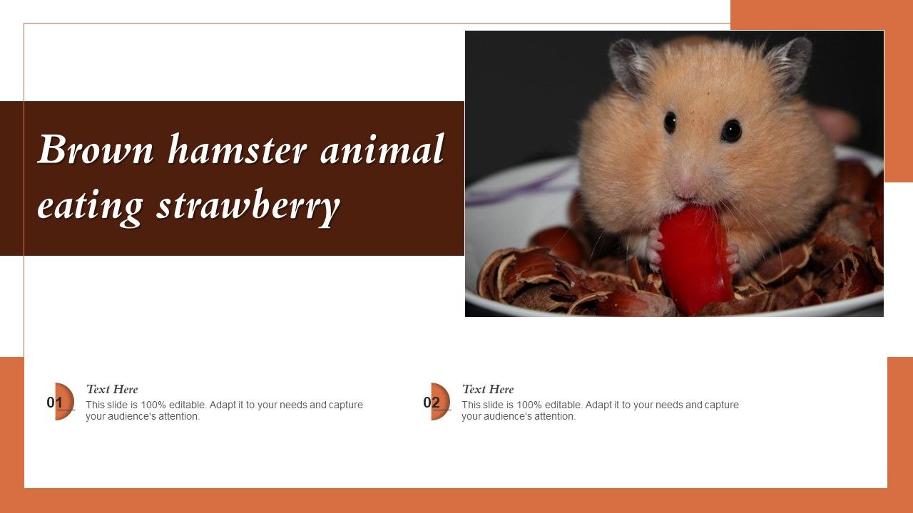 Brown_Hamster_Animal_Eating_Strawberry_Ppt_PowerPoint_Presentation_Icon_Example_File_PDF_Slide_1.jpg