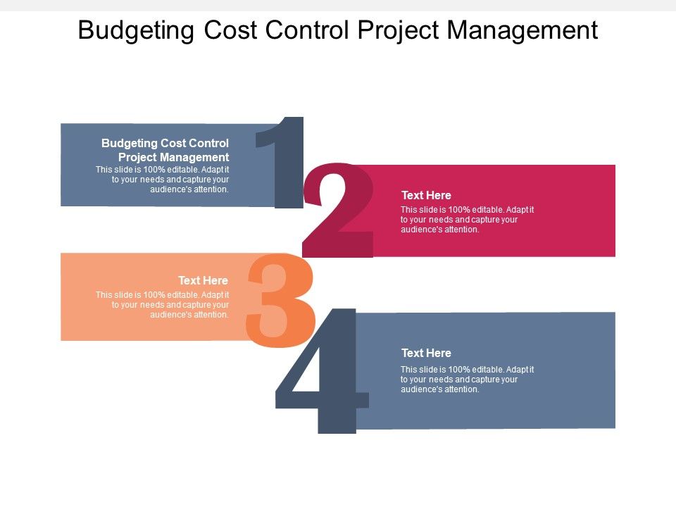 Budgeting_Cost_Control_Project_Management_Ppt_PowerPoint_Presentation_Professional_Example_Introduction_Cpb_Pdf_Slide_1.jpg