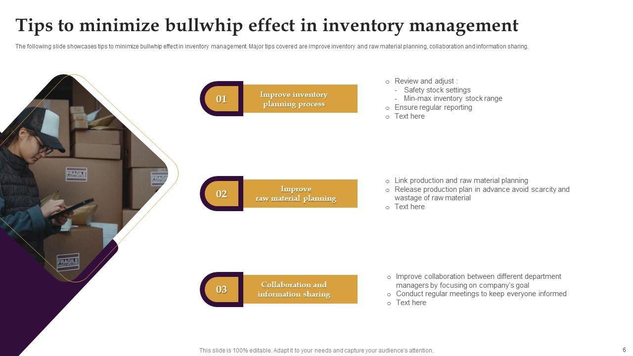 Bullwhip Effect Ppt PowerPoint Presentation Complete Deck With Slides Slide06