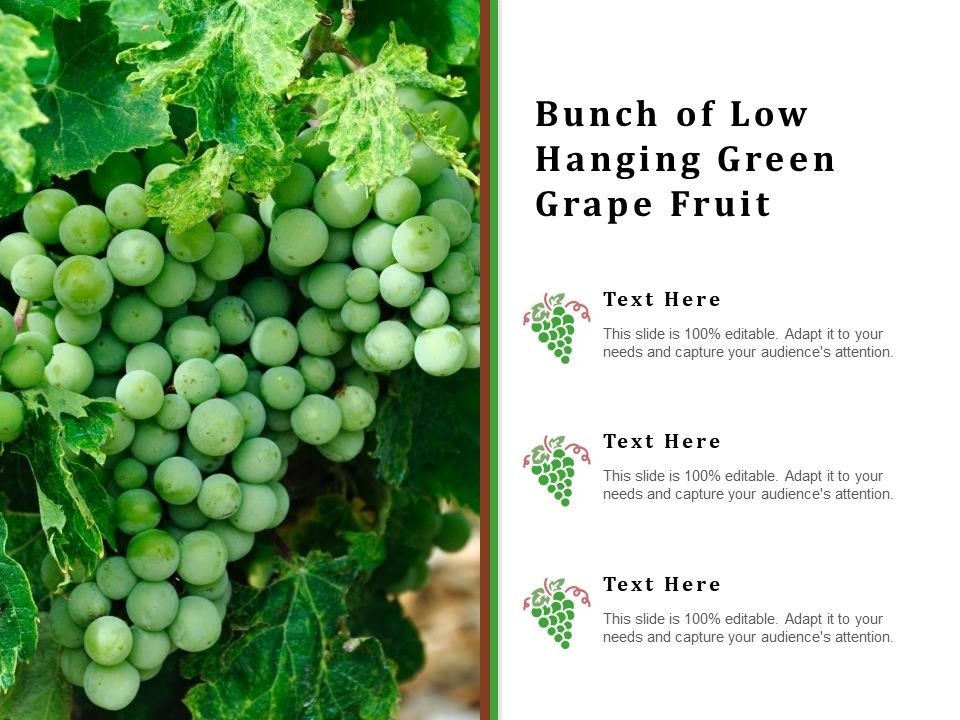 Bunch_Of_Low_Hanging_Green_Grape_Fruit_Ppt_PowerPoint_Presentation_Icon_Professional_PDF_Slide_1.jpg
