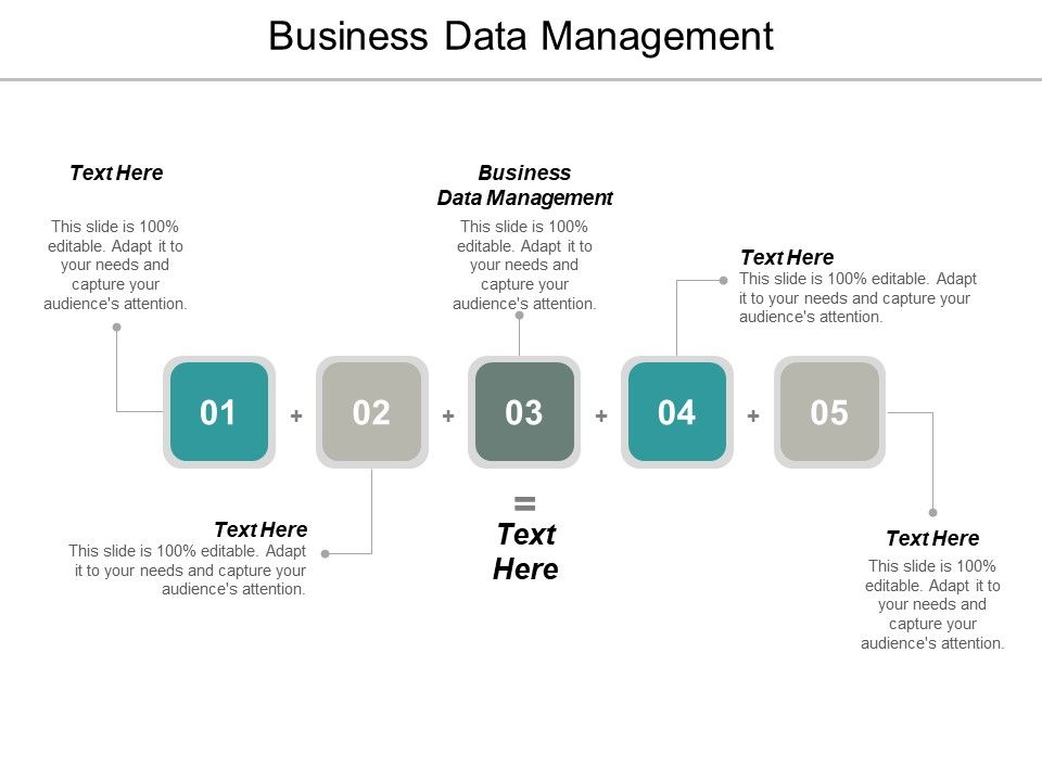 Business Data Management Ppt PowerPoint Presentation Gallery ...