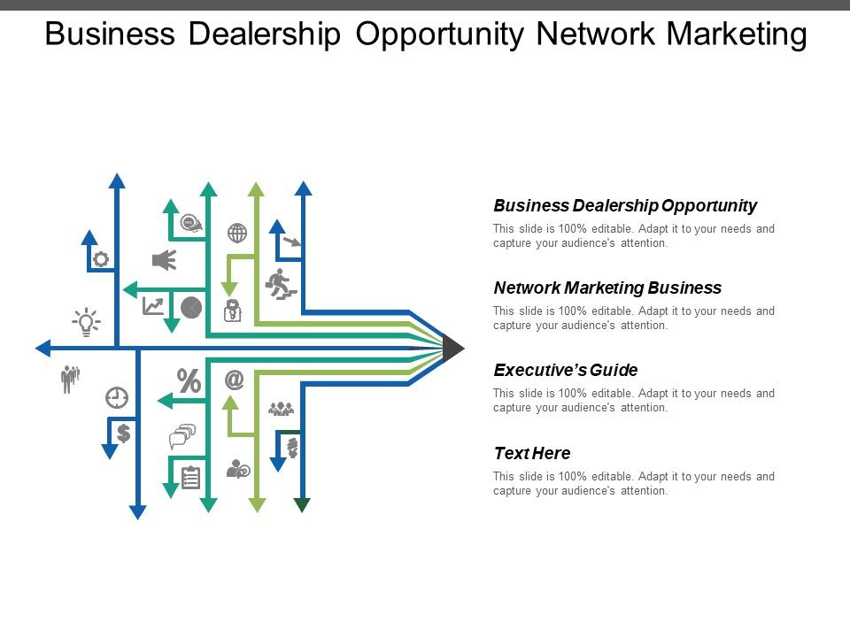 Business_Dealership_Opportunity_Network_Marketing_Business_Executives_Guide_Ppt_PowerPoint_Presentation_Icon_Smartart_Slide_1.jpg