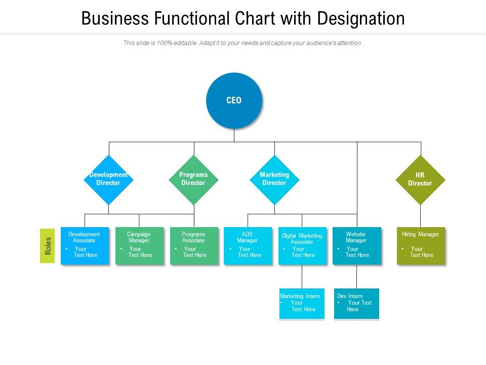 Business_Functional_Chart_With_Designation_Ppt_PowerPoint_Presentation_Icon_Layouts_PDF_Slide_1.jpg