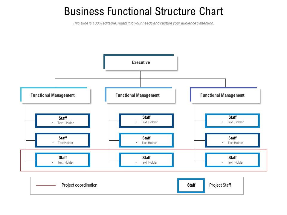 Business Functional Structure Chart Ppt PowerPoint Presentation File ...