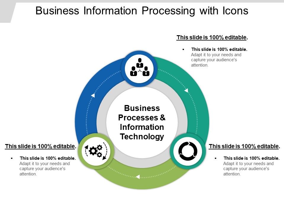 Business_Information_Processing_With_Icons_Ppt_PowerPoint_Presentation_Outline_Example_File_Slide_1.jpg