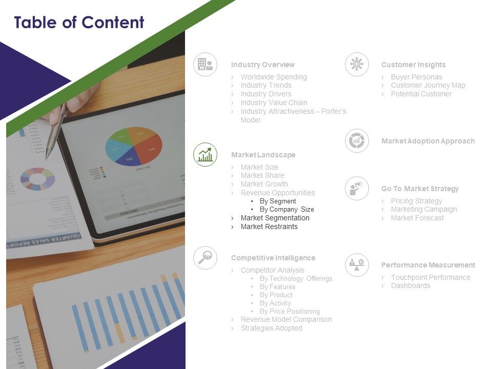 Business_Intelligence_Report_Table_Of_Content_Segmentation_Ppt_Icon_Example_Topics_PDF_Slide_1.jpg