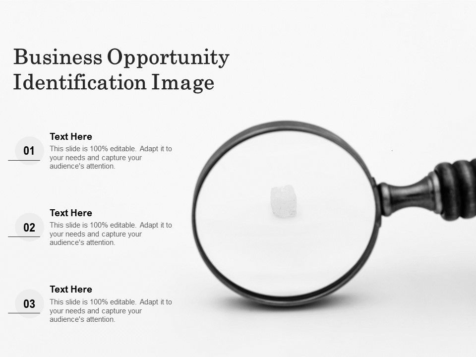 Business_Opportunity_Identification_Image_Ppt_PowerPoint_Presentation_Outline_Sample_PDF_Slide_1.jpg
