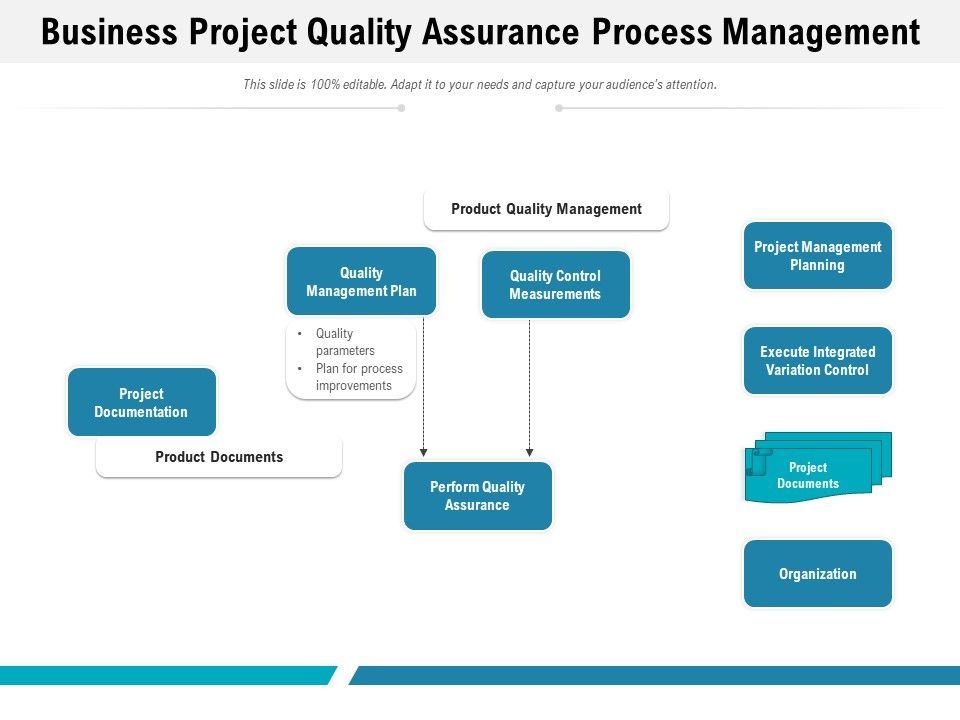 Business Project Quality Assurance Process Management Ppt PowerPoint ...