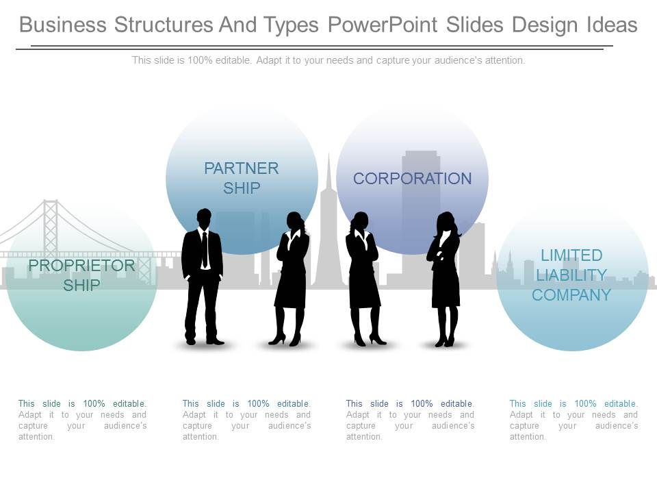 Business Structures And Types Powerpoint Slides Design Ideas