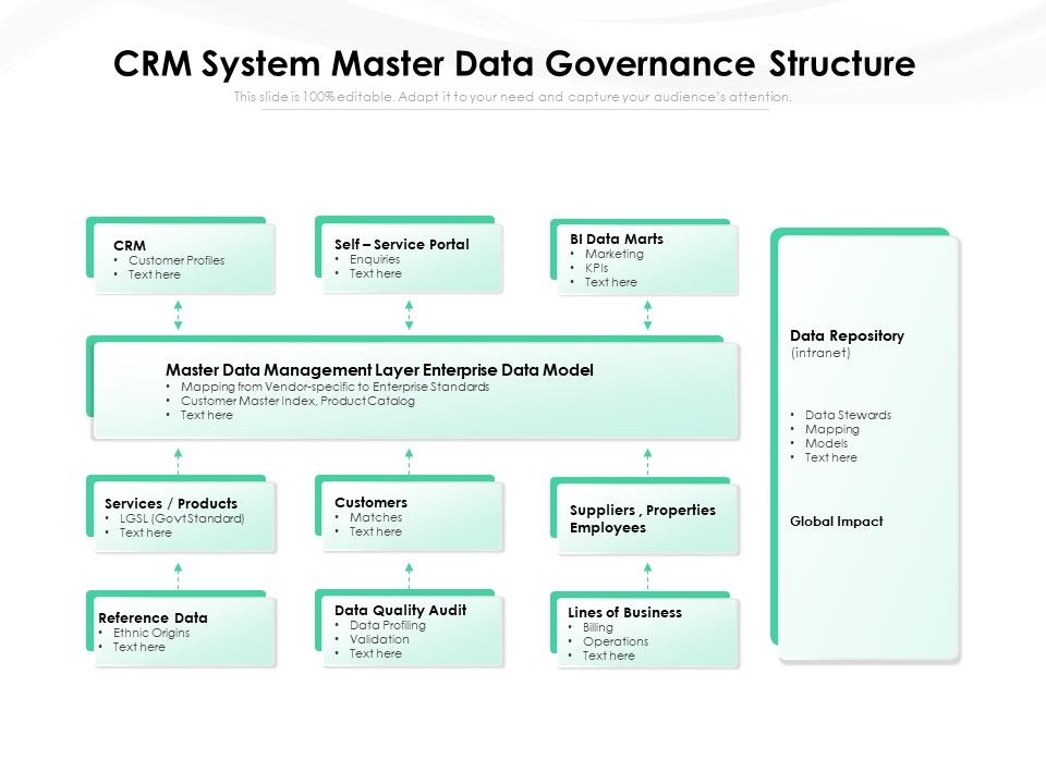 CRM System Master Data Governance Structure Ppt PowerPoint Presentation ...