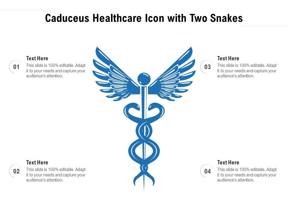 Caduceus_Healthcare_Icon_With_Two_Snakes_Ppt_PowerPoint_Presentation_File_Slide_Portrait_PDF_Slide_1.jpg