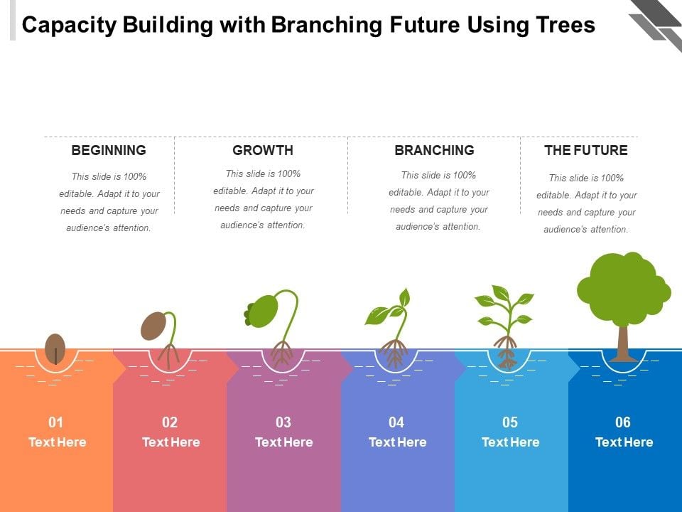 Capacity_Building_With_Branching_Future_Using_Trees_Ppt_PowerPoint_Presentation_Icon_Template_PDF_Slide_1.jpg