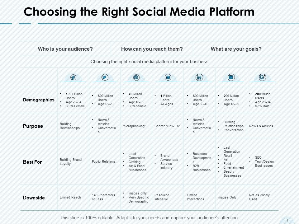Choosing_The_Right_Social_Media_Platform_Demographics_Ppt_PowerPoint_Presentation_Icon_Graphics_Tutorials_Slide_1.jpg