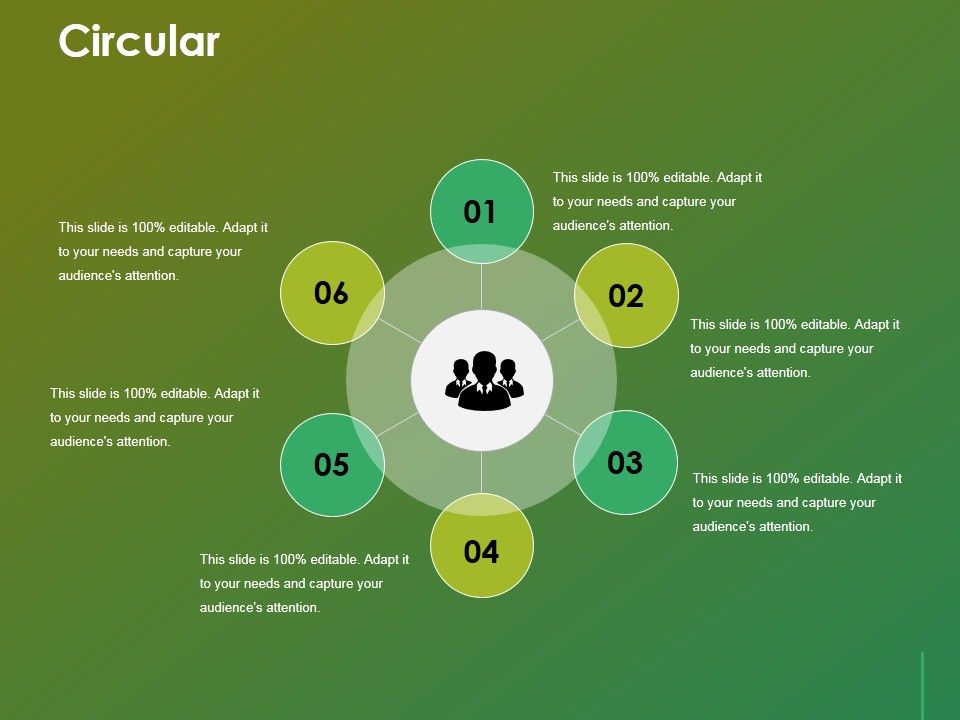 Circular Ppt Powerpoint Presentation Gallery Layouts