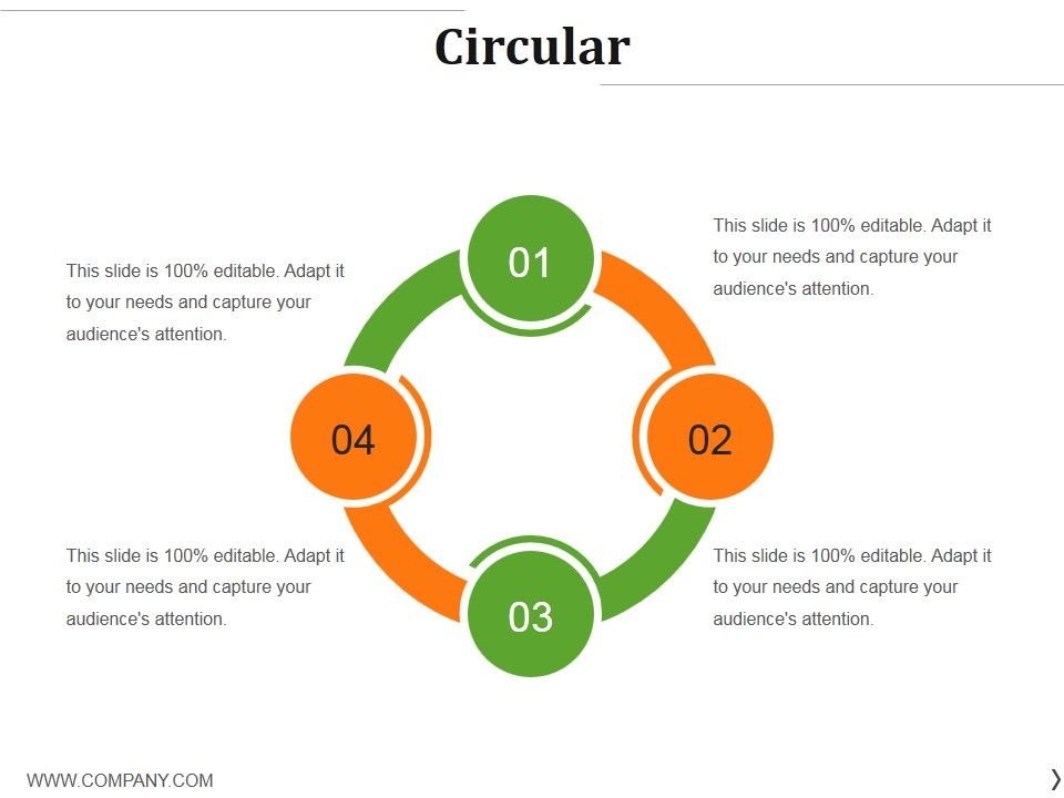 Circular Ppt PowerPoint Presentation Infographics Display
