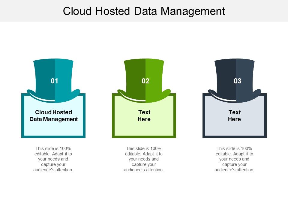 Cloud Hosted Data Management Ppt PowerPoint Presentation Professional Layou