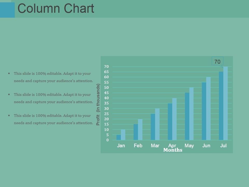 Column Chart Ppt PowerPoint Presentation Show Styles