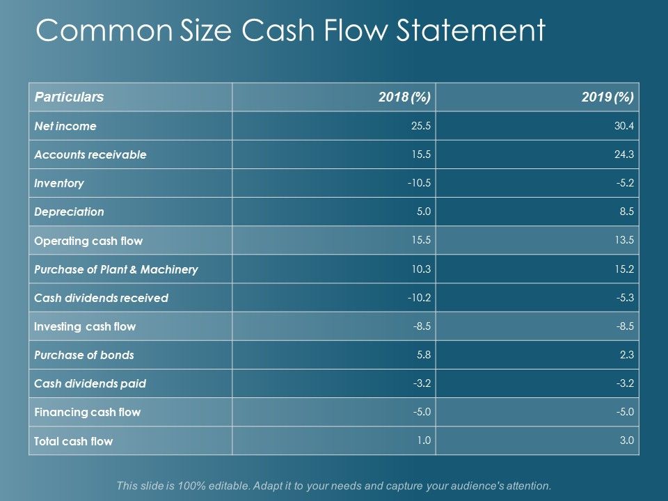 Common_Size_Cash_Flow_Statement_Ppt_PowerPoint_Presentation_Show_Icons_Slide_1.jpg
