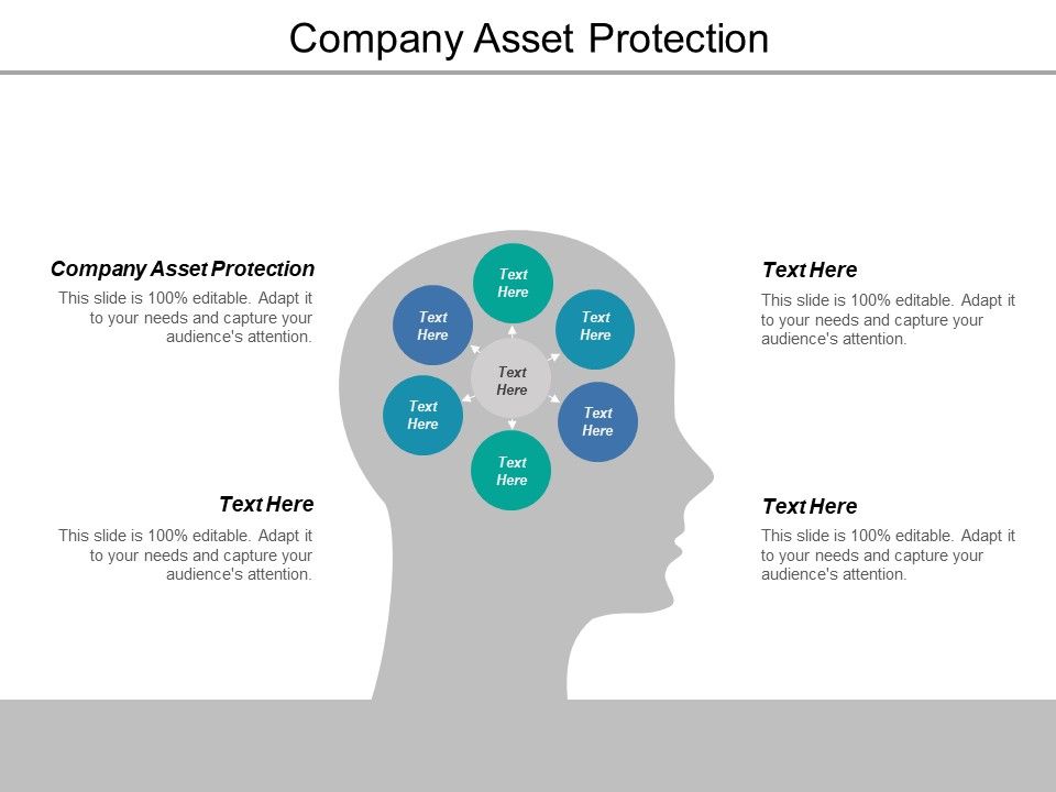Company Asset Protection Ppt PowerPoint Presentation Inspiration Diagrams Cpb Slide01