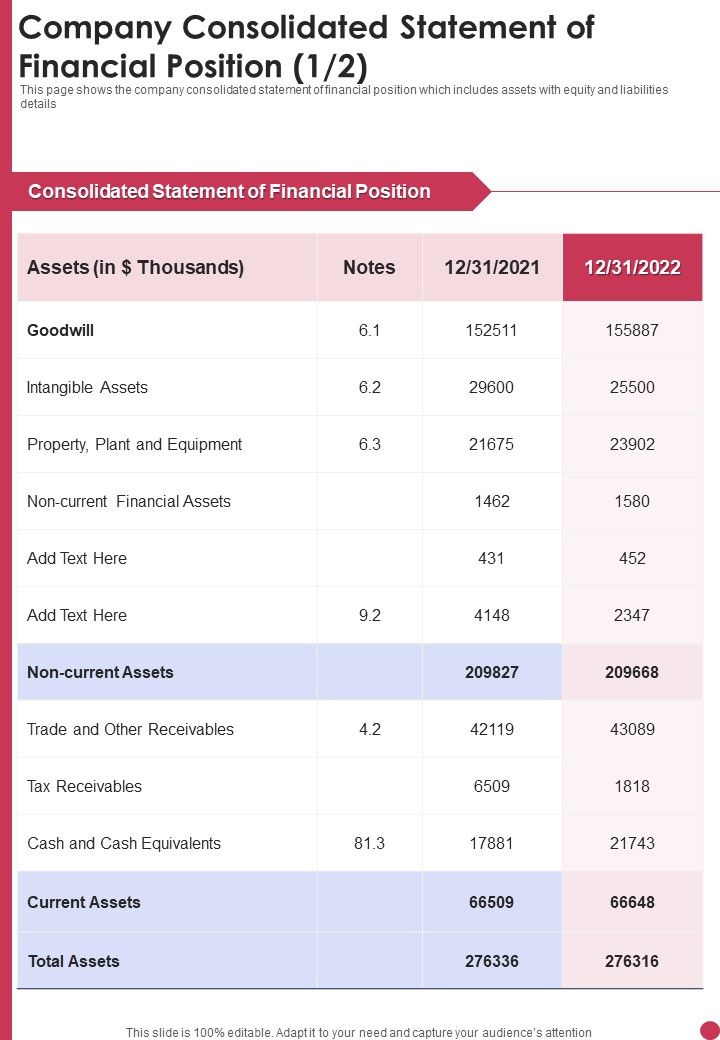 Company Consolidated Statement Of Financial Position Template 268 One
