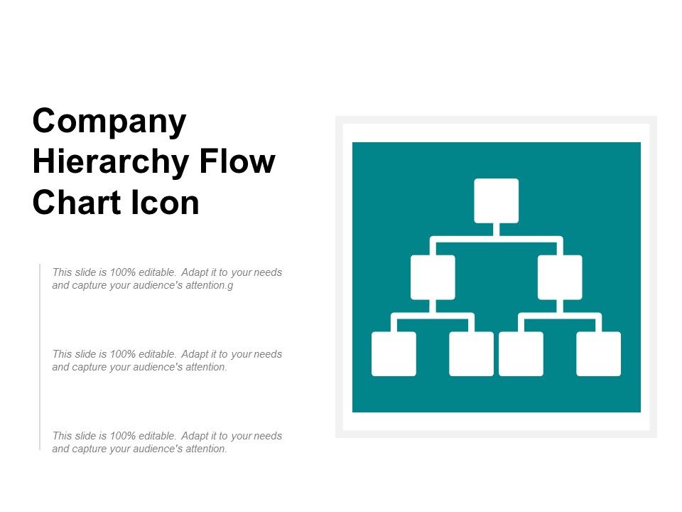 Company_Hierarchy_Flow_Chart_Icon_Ppt_PowerPoint_Presentation_Gallery_Portfolio_Slide_1.jpg