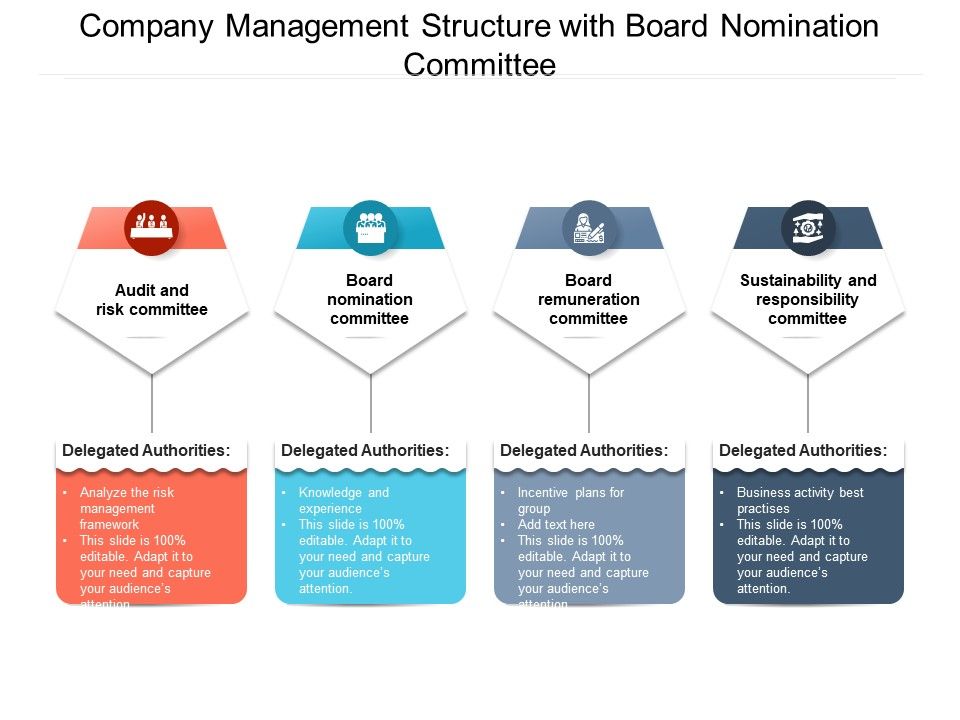 Company_Management_Structure_With_Board_Nomination_Committee_Ppt_PowerPoint_Presentation_Icon_Pictures_PDF_Slide_1.jpg