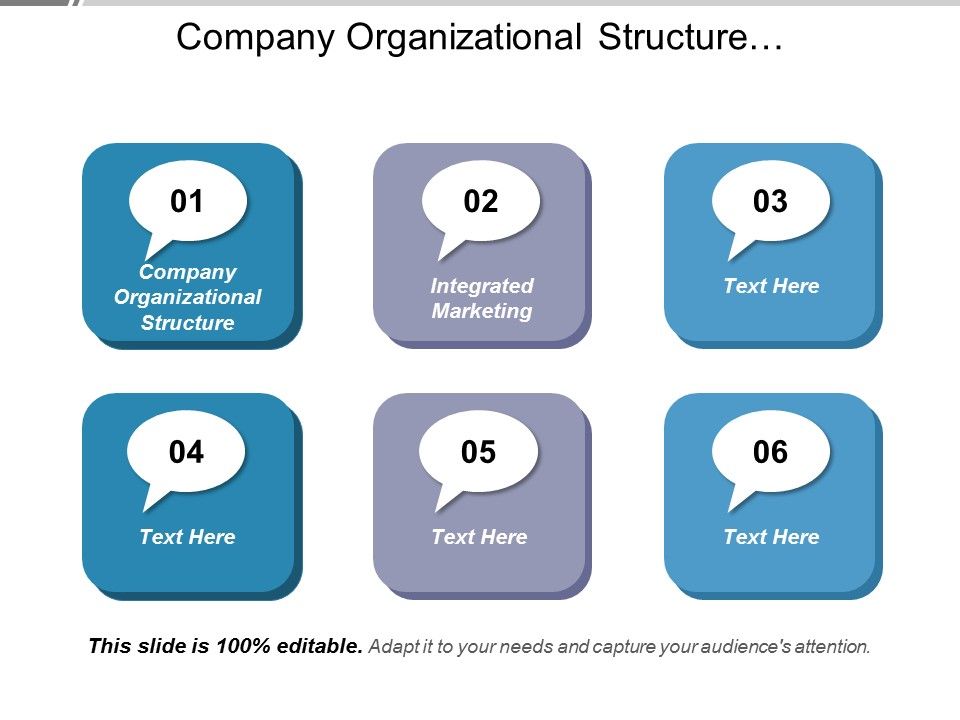 Company_Organizational_Structure_Integrated_Marketing_Ppt_PowerPoint_Presentation_Infographic_Template_Graphic_Tips_Slide_1.jpg