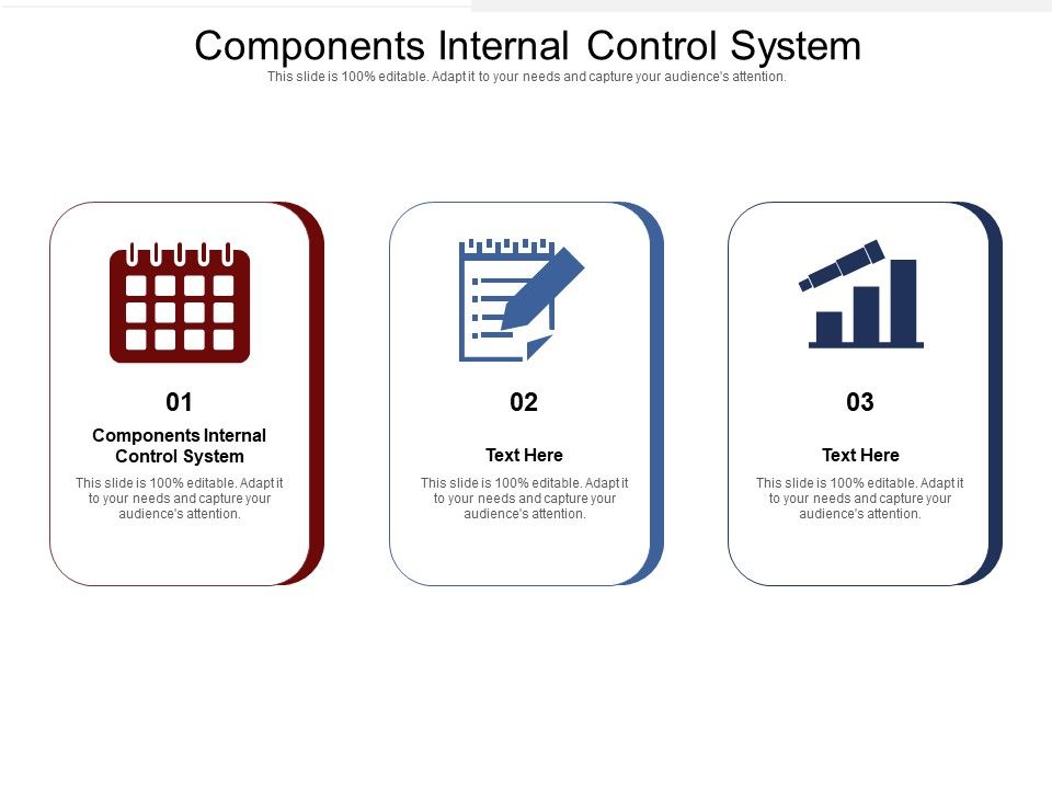 Components_Internal_Control_System_Ppt_PowerPoint_Presentation_Icon_Slides_Cpb_Pdf_Slide_1.jpg