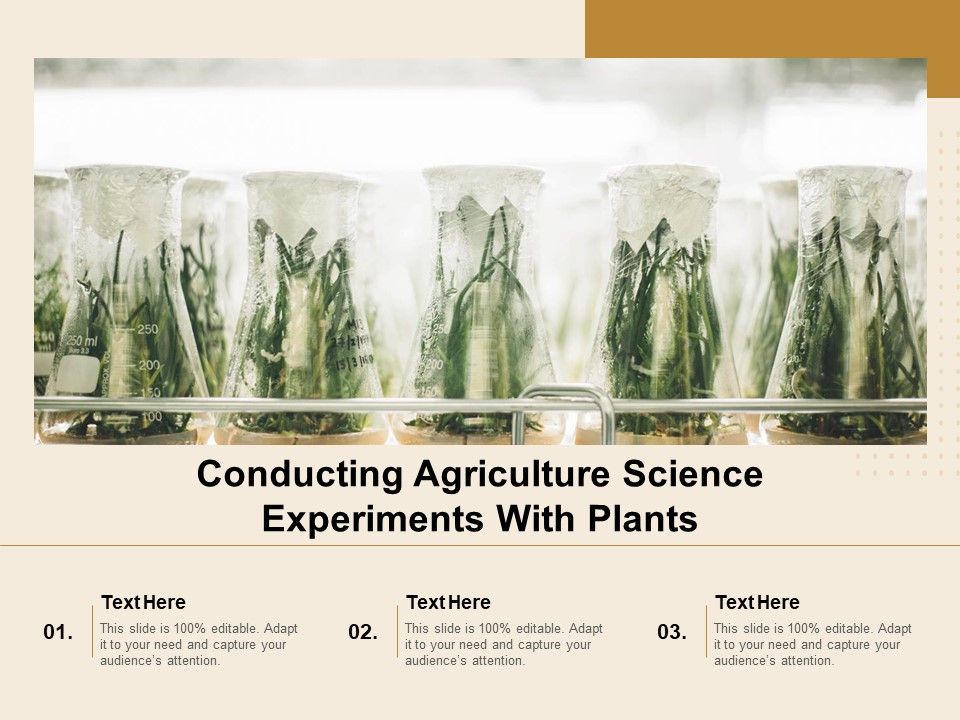 Conducting_Agriculture_Science_Experiments_With_Plants_Ppt_PowerPoint_Presentation_Icon_Diagrams_PDF_Slide_1.jpg