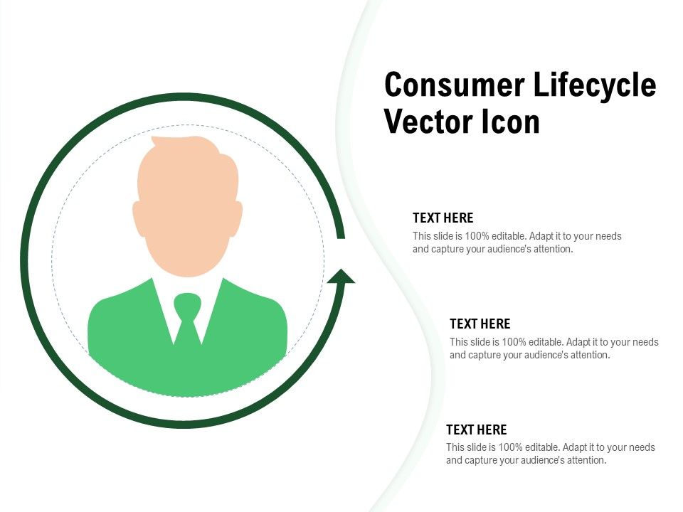 Consumer_Lifecycle_Vector_Icon_Ppt_PowerPoint_Presentation_Model_Ideas_Slide_1.jpg