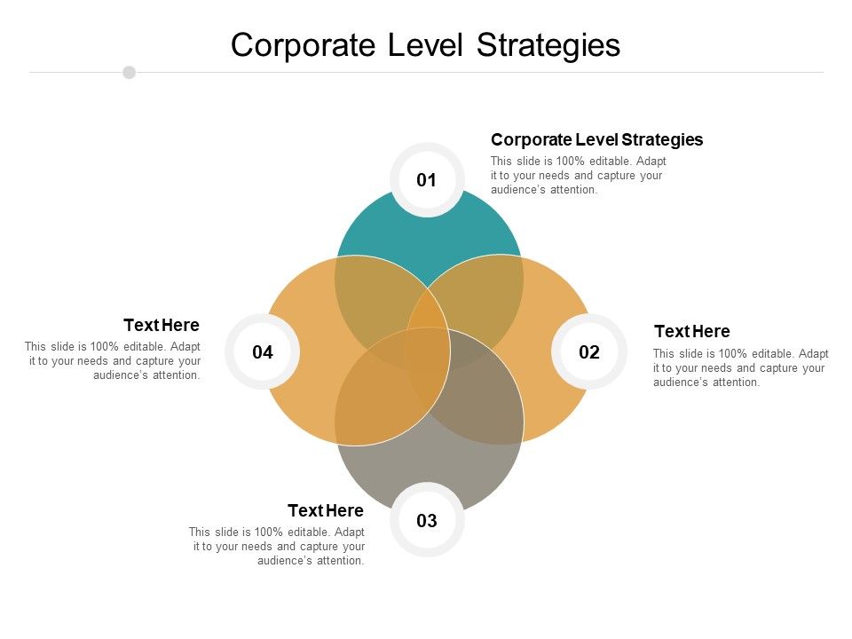 Corporate Level Strategies Ppt PowerPoint Presentation Infographic ...