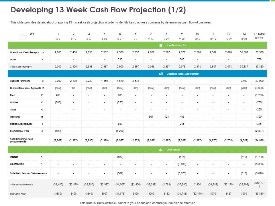 Corporate_Turnaround_Strategies_Developing_13_Week_Cash_Flow_Projection_Icons_PDF_Slide_1.jpg