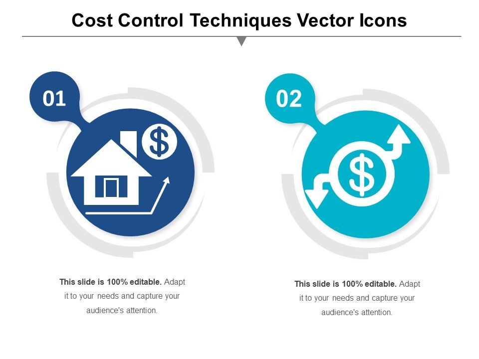Cost_Control_Techniques_Vector_Icons_Ppt_PowerPoint_Presentation_Styles_Images_PDF_Slide_1.jpg