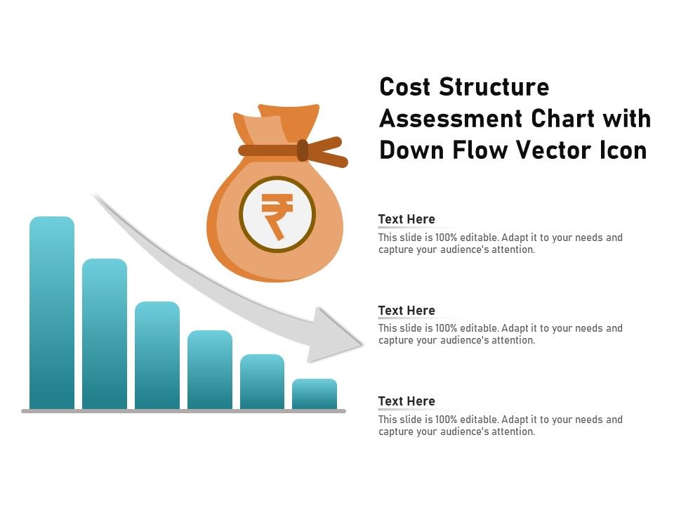 Cost_Structure_Assessment_Chart_With_Down_Flow_Vector_Icon_Ppt_PowerPoint_Presentation_File_Demonstration_PDF_Slide_1.jpg