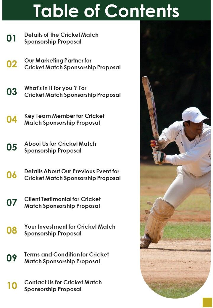 Cricket Match Sponsorship Proposal Table Of Contents One Pager Sample ...