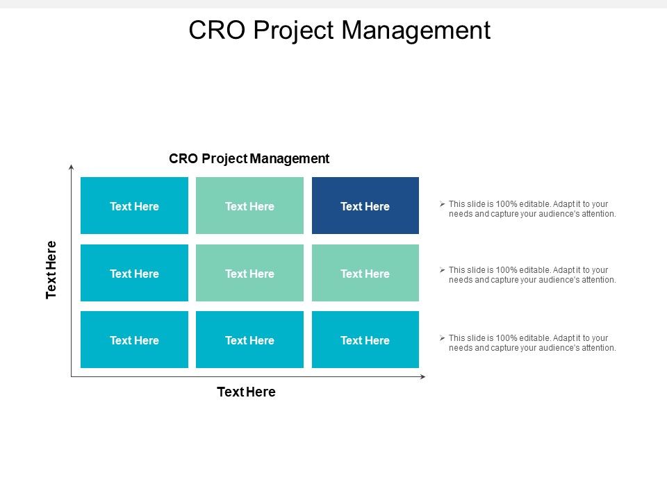 Cro_Project_Management_Ppt_PowerPoint_Presentation_Icon_Tips_Cpb_Slide_1.jpg