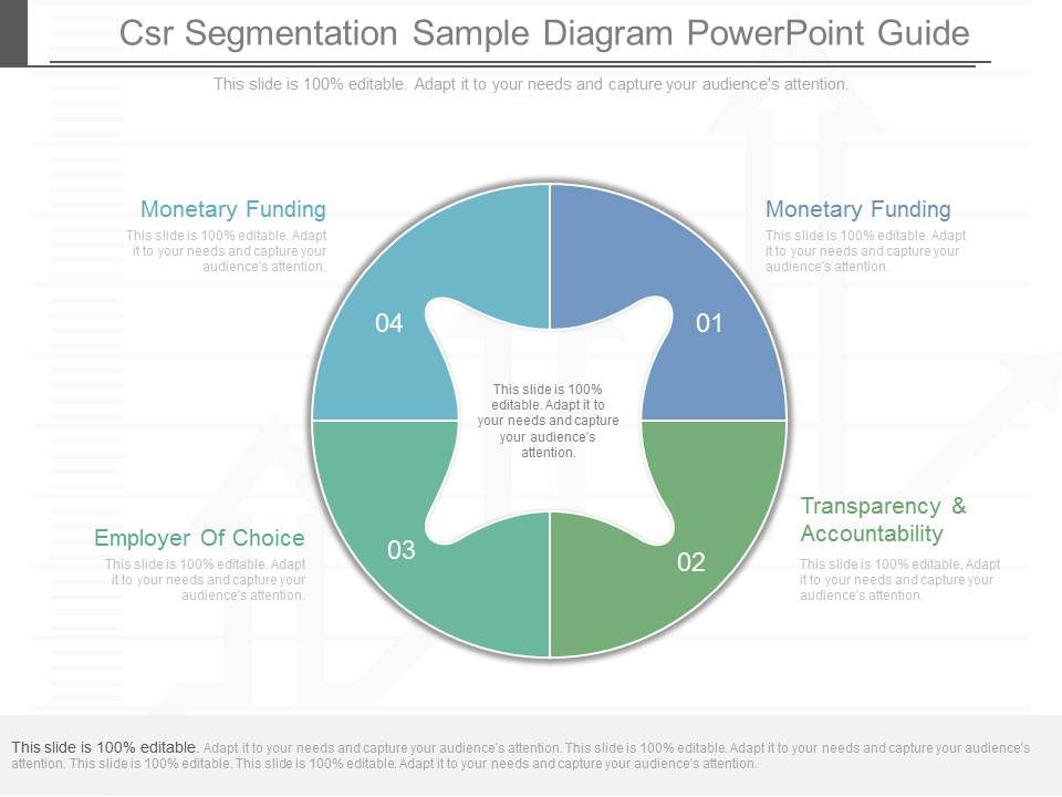 Csr Segmentation Sample Diagram Powerpoint Guide